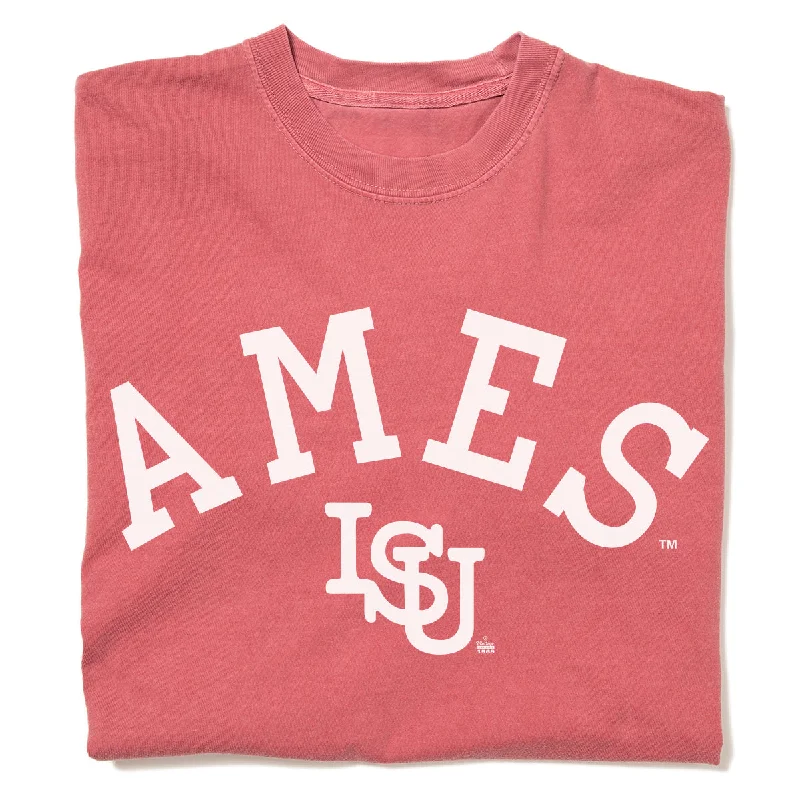 Bold Colors Tee-Ames Vintage Curved Logo Heavyweight Red