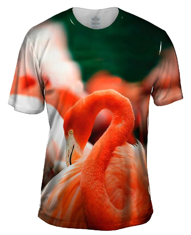 Fresh Graphic T-shirt-Classic Flamingo Feathers