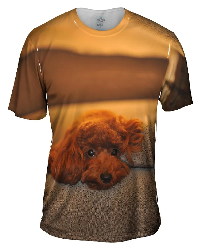 Premium T-shirt-Chocolate Toy Poodle Stare