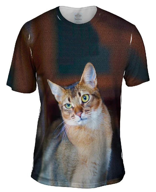 Bold Text T-shirt-Confused Cat