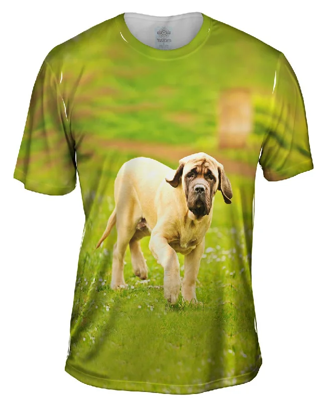 Motivational T-shirt-Courageous Mastiff