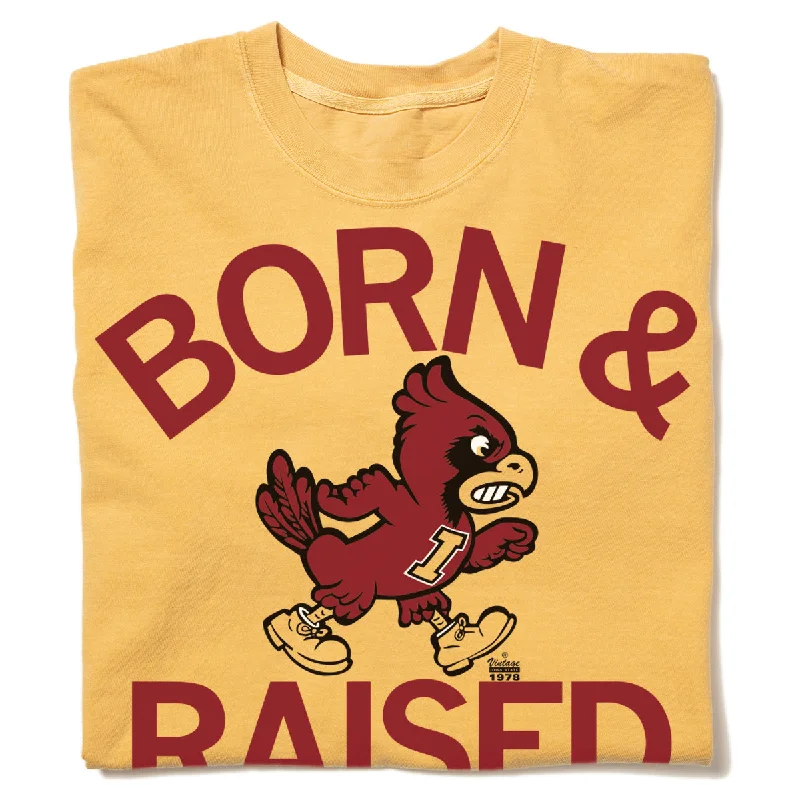 Cool Text Tee-Cyclones Born & Raised Vintage Heavyweight