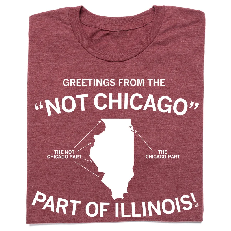 Easy Fit Tee-Not Chicago Part of Illinois