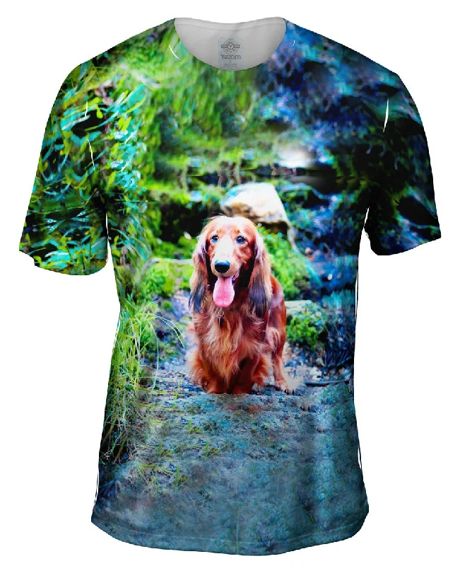 All-Occasion T-shirt-Dachshund In Forest