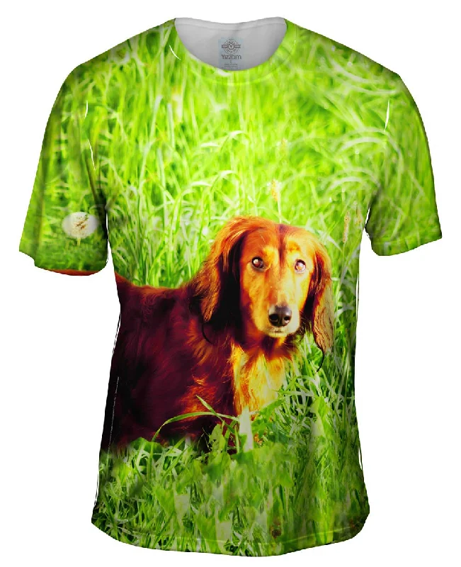 Unique Print T-shirt-Dachshund In Grass