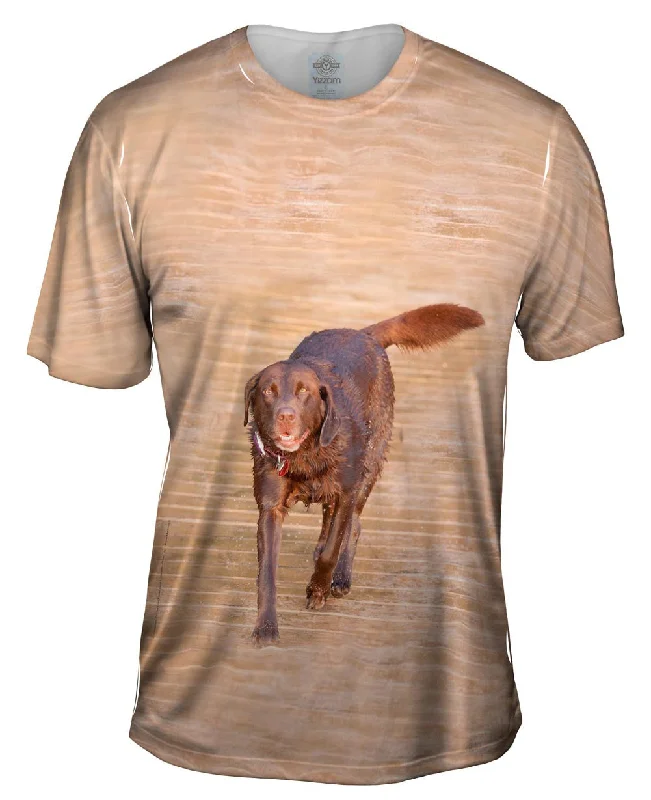 High-End T-shirt-Chocolate Lab Boardwalk Stroll