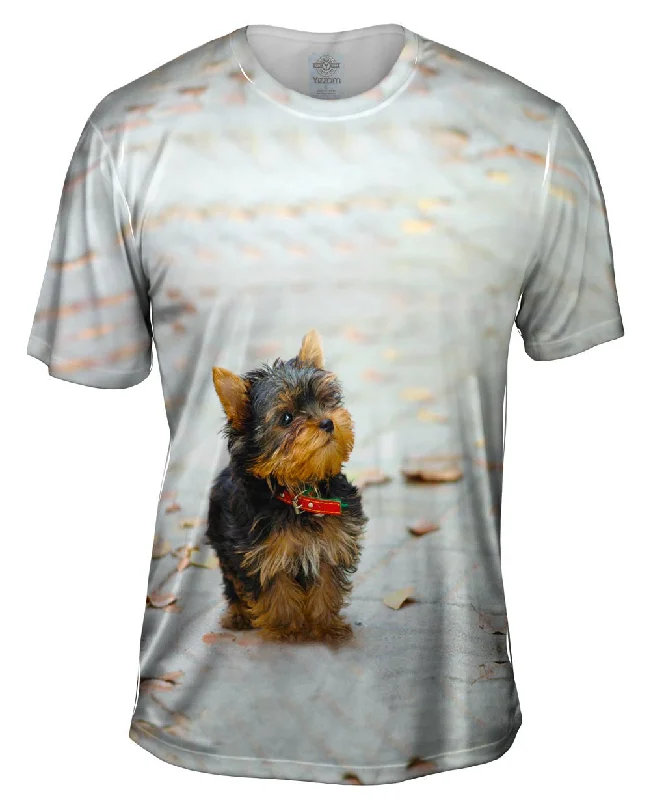 Casual T-shirt-Curious Yorkie Puppy