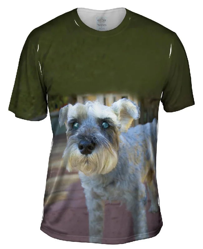 Bold Print T-shirt-Curious Schnauzer