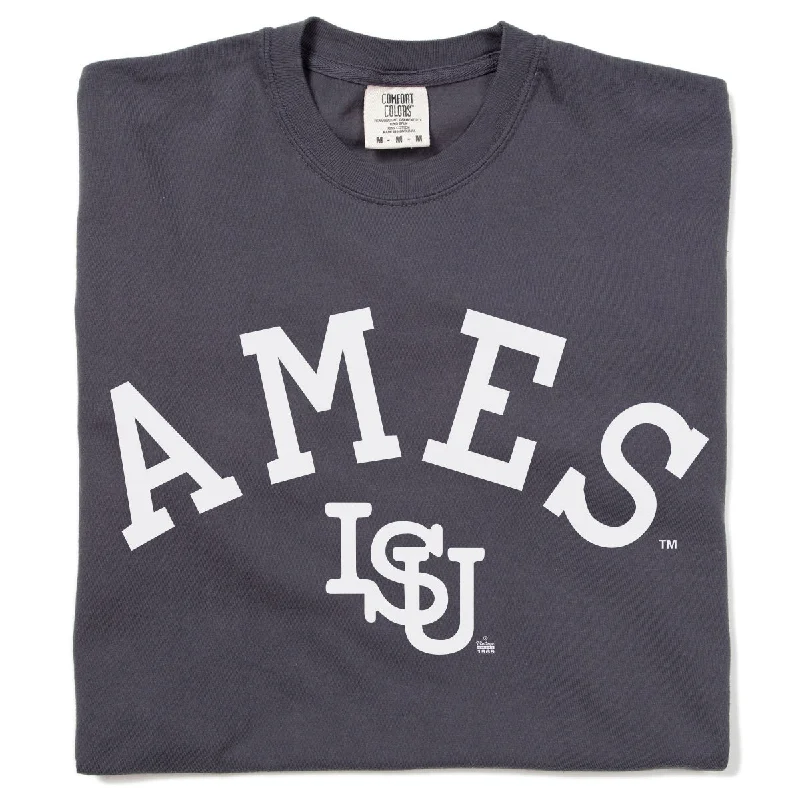 Urban Life T-shirt-Ames Vintage Curved Logo Heavyweight Charcoal