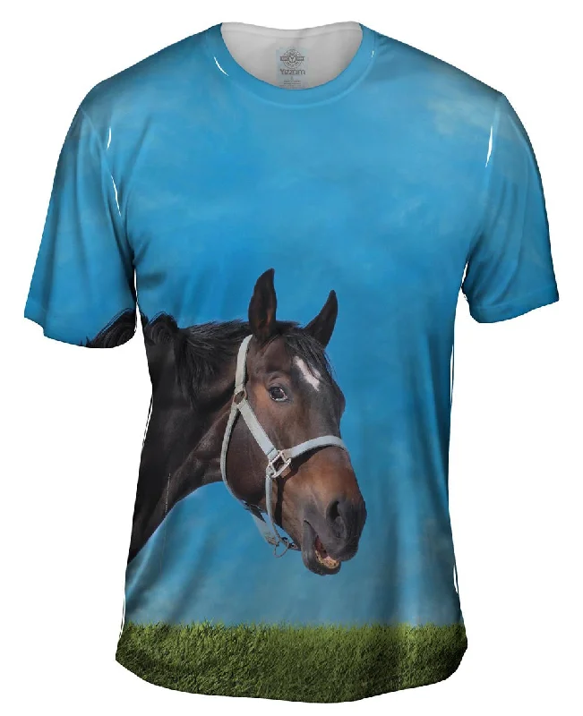 Retro T-shirt-Curious Black Horse